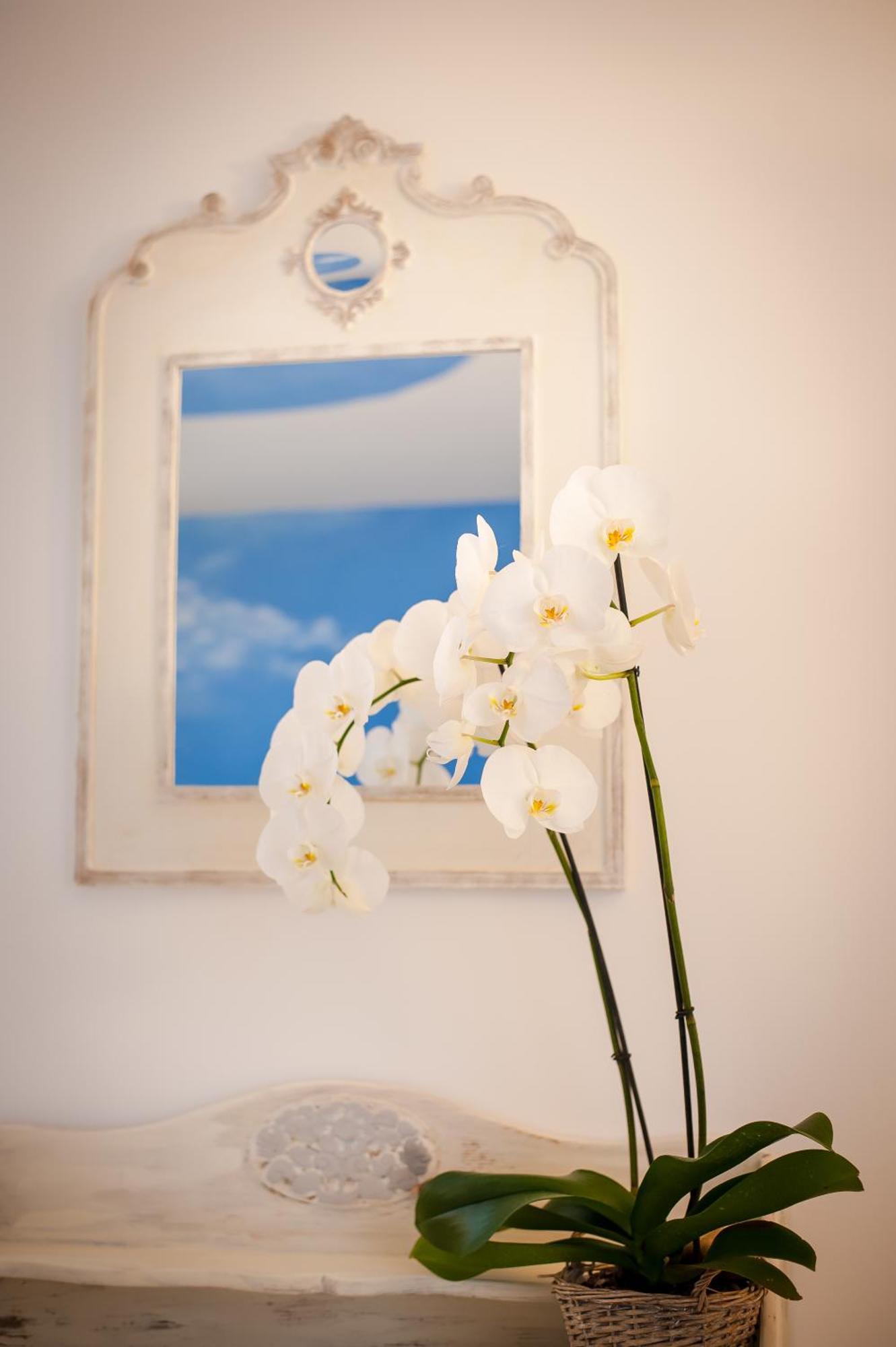 Les 4 Elements Bed & Breakfast Tourrettes-sur-Loup Room photo