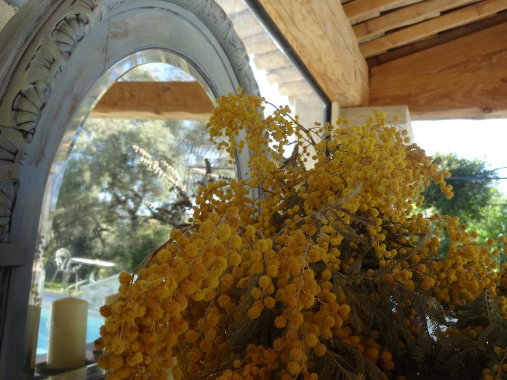 Les 4 Elements Bed & Breakfast Tourrettes-sur-Loup Exterior photo